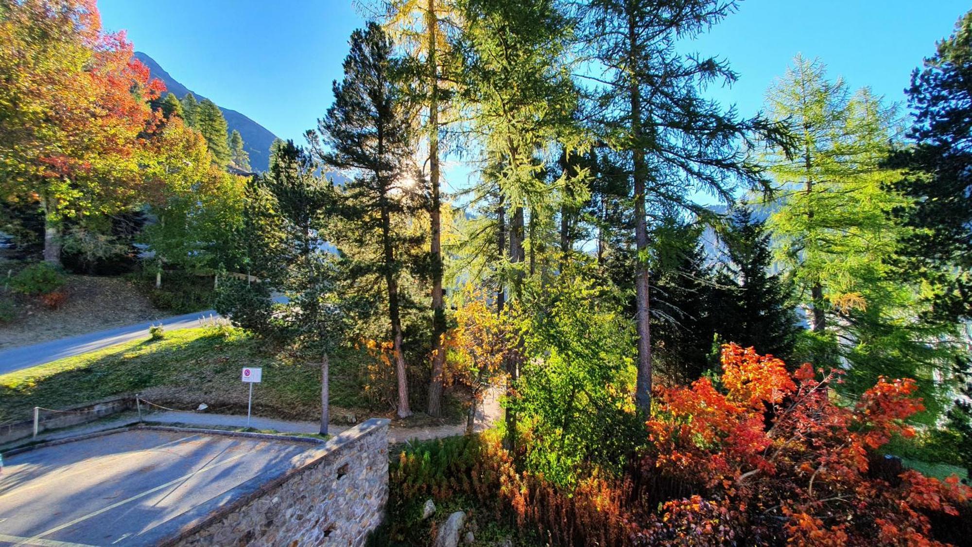 Ferienwohnung Chesa Blais Pontresina Exterior foto